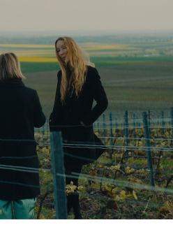 IVH x Severine vineyards
