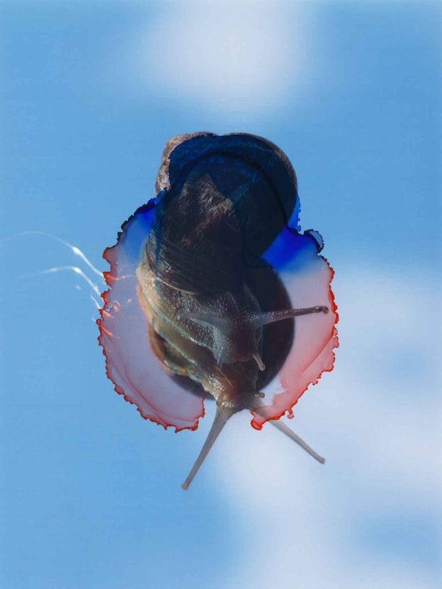 Viviane Sassen - snail