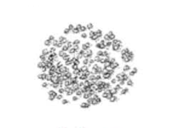 Sesame seed